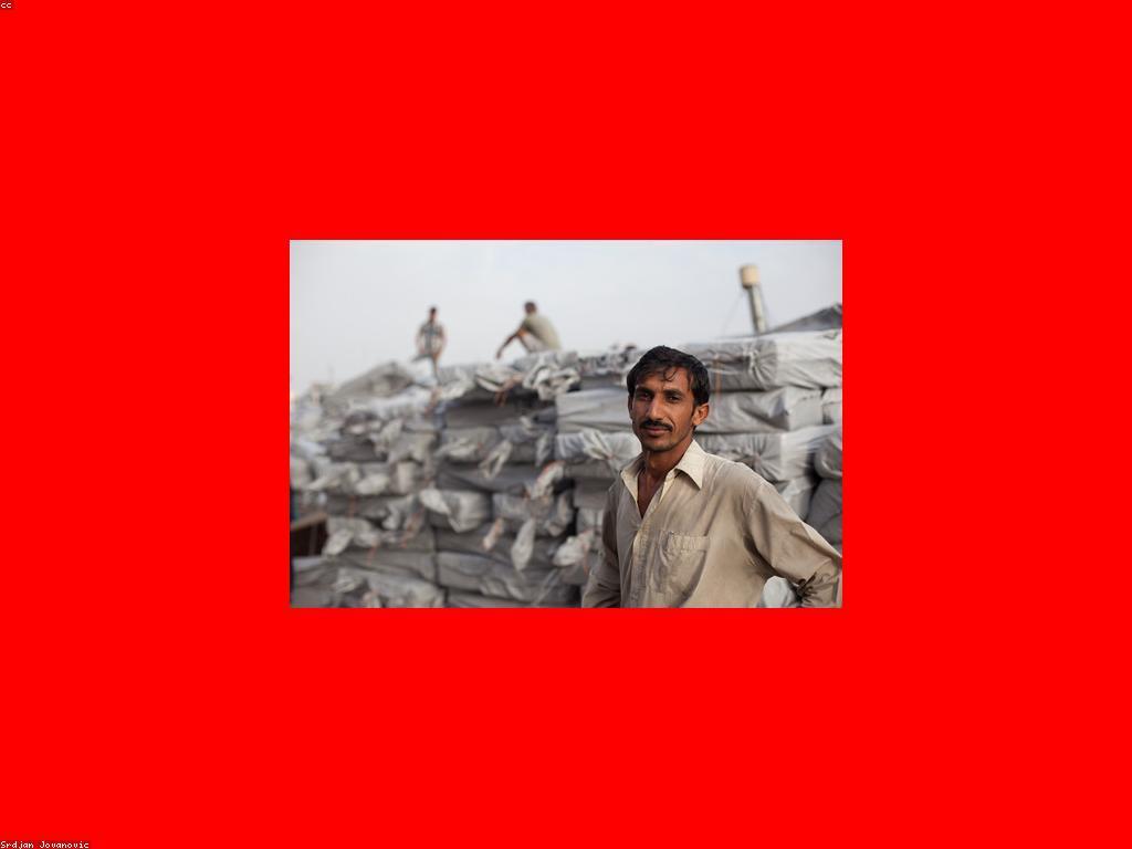 កម្មវិធីពិសេសក្នុងវប្បធម៌